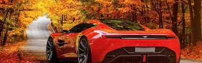 Boomhars van auto verwijderen. Zo doe je dat snel en veilig