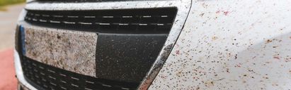 Rimuovere insetti dall’auto in modo sicuro