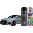 Audi RS Nardo Grey 1K oder 2K Spraydose - Nardograu