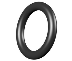 Joint torique Bigboi pour tuyau HD WashR Flo