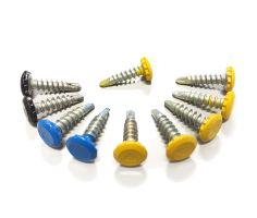 Kennzeichen Diebstahlschutz - 100 Stück selbstbohrende Nummernschild Schrauben