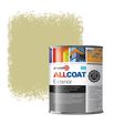 Zinsser Allcoat Exterior Wall Paint RAL 1000 Green beige - 1 liter