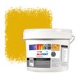 Zinsser Allcoat Exterior Muurverf RAL 1004 Goudgeel - 10 liter