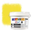 Zinsser Allcoat Per Pareti Per Uso Esterno RAL 1018 Giallo zinco - 10 litro