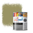 Zinsser Allcoat Exterior Wall Paint RAL 1020 Olive yellow - 1 liter