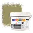Zinsser Allcoat Per Pareti Per Uso Esterno RAL 1020 Giallo oliva - 10 litro