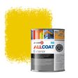 Zinsser Allcoat Exterior Wall Paint RAL 1021 Rape yellow - 1 liter