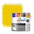 Zinsser Allcoat Exterior Muurverf RAL 1021 Koolzaadgeel - 2,5 liter