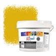 Zinsser Allcoat Per Pareti Per Uso Esterno RAL 1032 Giallo ginestra - 10 litro