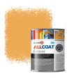 Zinsser Allcoat Exterior Wall Paint RAL 1034 Pastel yellow - 1 liter