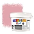 Zinsser Allcoat Exterior Muurverf RAL 3015 Roodviolet - 10 liter