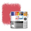 Zinsser Allcoat Exterior Wall Paint RAL 3017 Rose - 2,5 liter