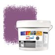 Zinsser Allcoat Per Pareti Per Uso Esterno RAL 4001 Roodlila - 10 litro