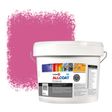 Zinsser Allcoat Per Pareti Per Uso Esterno RAL 4003 Heideviolet - 10 litro