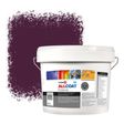 Zinsser Allcoat Per Pareti Per Uso Esterno RAL 4007 Purperviolet - 10 litro
