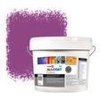 Zinsser Allcoat Per Pareti Per Uso Esterno RAL 4008 Signaalviolet - 10 litro