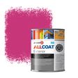 Zinsser Allcoat Per Pareti Per Uso Esterno RAL 4010 Télemagenta - 1 litro