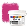 Zinsser Allcoat Per Pareti Per Uso Esterno RAL 4010 Télemagenta - 10 litro