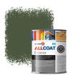 Zinsser Allcoat Per Pareti Per Uso Esterno RAL 6003 Verde oliva - 1 litro
