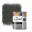 Zinsser Allcoat Per Pareti Per Uso Esterno RAL 6006 Verde grigio oliva - 1 litro