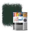 Zinsser Allcoat Per Pareti Per Uso Esterno RAL 6009 Verde abete - 1 litro