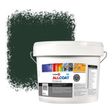 Zinsser Allcoat Per Pareti Per Uso Esterno RAL 6009 Verde abete - 10 litro