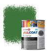 Zinsser Allcoat Per Pareti Per Uso Esterno RAL 6010 Verde erba - 1 litro