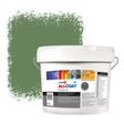 Zinsser Allcoat Per Pareti Per Uso Esterno RAL 6011 Verde reseda - 10 litro