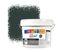 Zinsser Allcoat Per Pareti Per Uso Esterno RAL 6012 Verde nerastro - 10 litro