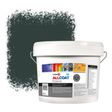 Zinsser Allcoat Per Pareti Per Uso Esterno RAL 6012 Verde nerastro - 10 litro