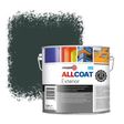 Zinsser Allcoat Exterior Wall Paint RAL 6012 Black green - 2,5 liter