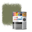Zinsser Allcoat Per Pareti Per Uso Esterno RAL 6013 Verde canna - 1 litro