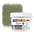 Zinsser Allcoat Per Pareti Per Uso Esterno RAL 6013 Verde canna - 10 litro