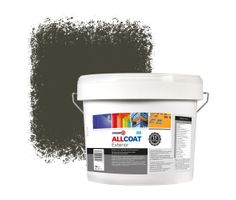 Zinsser Allcoat Per Pareti Per Uso Esterno RAL 6014 Oliva giallastro - 10 litro