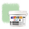 Zinsser Allcoat Per Pareti Per Uso Esterno RAL 6019 Verde biancastro - 10 litro