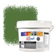 Zinsser Allcoat Per Pareti Per Uso Esterno RAL 6025 Verde felce - 10 litro