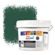 Zinsser Allcoat Per Pareti Per Uso Esterno RAL 6028 Verde pino - 10 litro