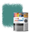 Zinsser Allcoat Exterior Außen-Wandfarbe RAL 6033 Minttürkis - 1 Liter