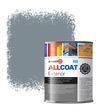 Zinsser Allcoat Per Pareti Per Uso Esterno RAL 7000 Grigio vaio - 1 litro