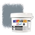 Zinsser Allcoat Per Pareti Per Uso Esterno RAL 7000 Grigio vaio - 10 litro