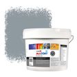 Zinsser Allcoat Per Pareti Per Uso Esterno RAL 7001 Grigio argento - 10 litro