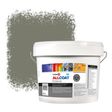 Zinsser Allcoat Per Pareti Per Uso Esterno RAL 7003 Grigio muschio - 10 litro