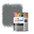Zinsser Allcoat Exterior Außen-Wandfarbe RAL 7005 Mausgrau - 1 Liter
