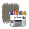 Zinsser Allcoat Exterior Wall Paint RAL 7006 Beige grey - 2,5 liter