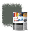 Zinsser Allcoat Exterior Außen-Wandfarbe RAL 7009 Grüngrau - 1 Liter