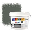 Zinsser Allcoat Per Pareti Per Uso Esterno RAL 7009 Grigio verdastro - 10 litro