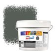 Zinsser Allcoat Per Pareti Per Uso Esterno RAL 7010 Grigio tenda - 10 litro