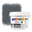 Zinsser Allcoat Per Pareti Per Uso Esterno RAL 7011 Grigio ferro - 10 litro