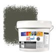 Zinsser Allcoat Per Pareti Per Uso Esterno RAL 7013 Grigio brunastro - 10 litro