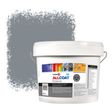 Zinsser Allcoat Exterior Muurverf RAL 7046 Telegrijs 2 - 10 liter